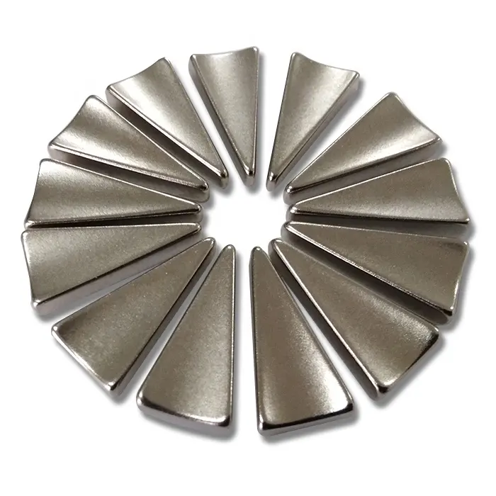  Irregular Neodymium Magnet 